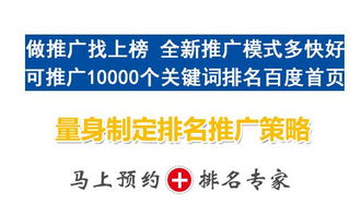 霸州企业网站优化与快速推广全攻略 专业服务与费用解析